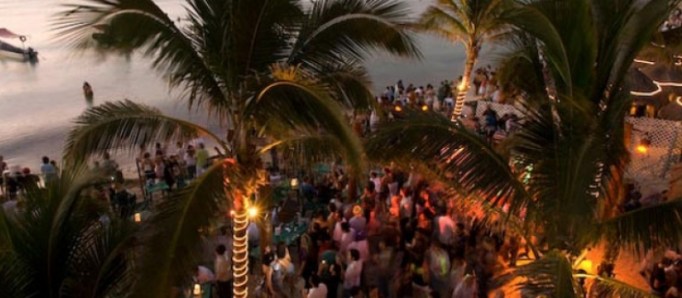 0f30-blue-parrot-slider