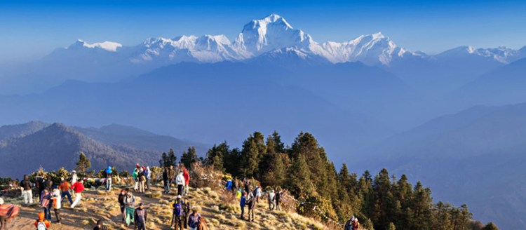 ghorepani-poonhill-trekking