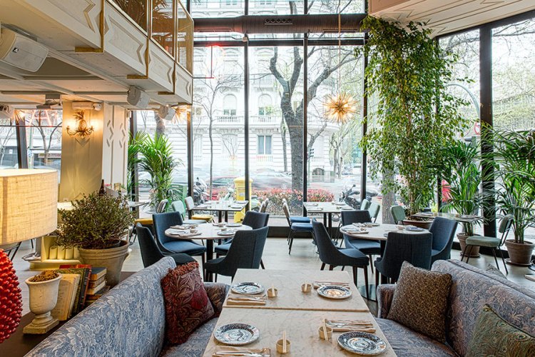 sushitacafe-miguel-angel-fotos-1