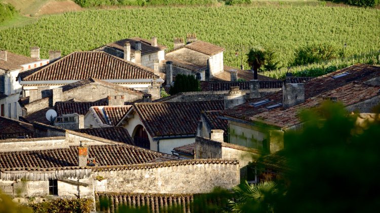 131682-bordeaux-wine-region-area