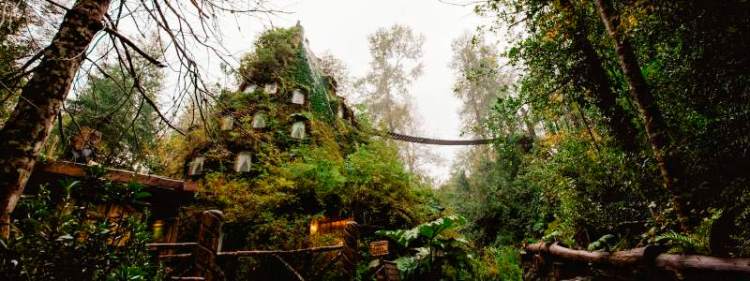 montac3b1a-mc3a1gica-lodge