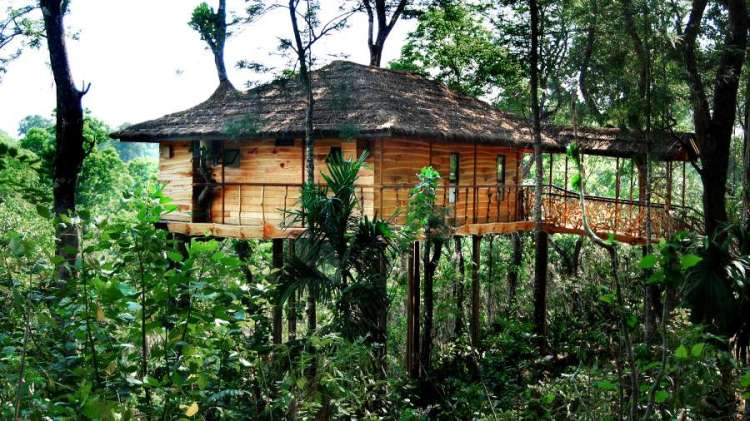 tree_house_villa_exterior_tranquil_resort_kerala_tobvjk