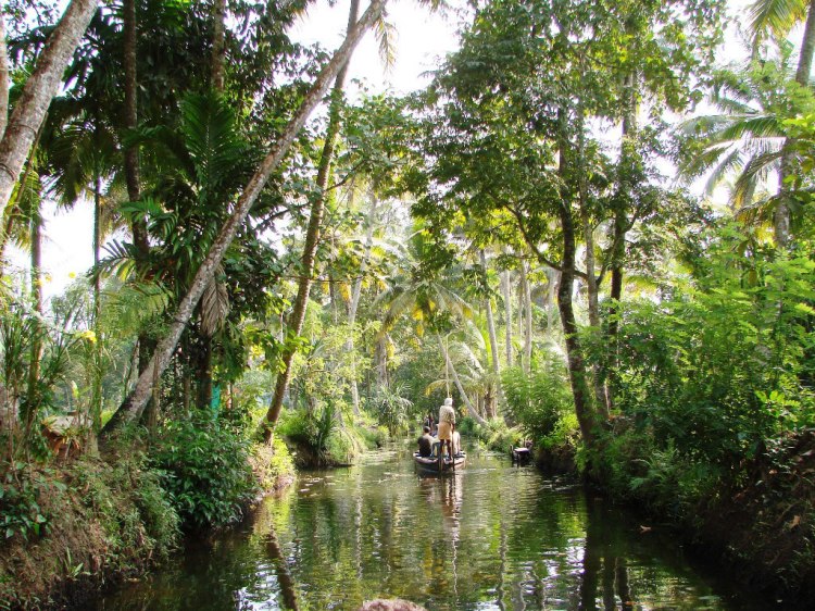 paddling-down-the-canal-in-a-country-boat-kerala-backwaters-tour