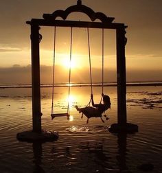 12514e69bcc819ac973b1d0986540513