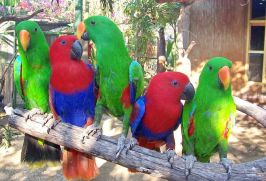 hotel-gili-meno-bird-park-resort-018
