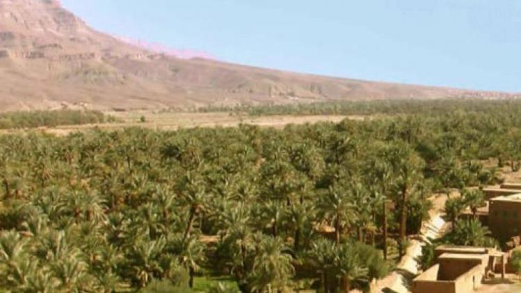 kasbah-oulad-othmane-photos-exterior-hotel-information