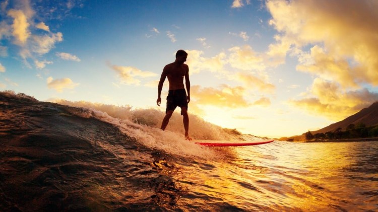 cobi2fmedia2fafr2fcache2f842fa32f84a3fb513dfff635ebd41c888be32763