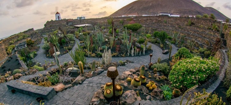 jardin_de_cactus-lanzarote_1