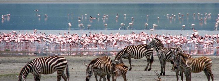 lake-nakuru