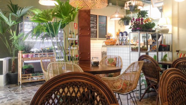 mandioca-mandioca-2-0e4fc