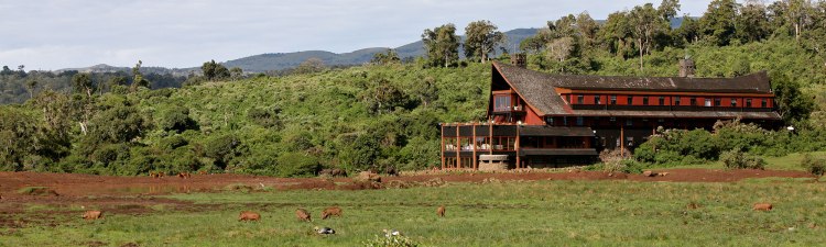 the-ark-lodge-kenya