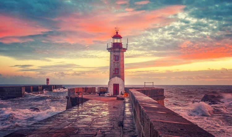 66d99202d4e9d1e2c3a0803b088f23ee