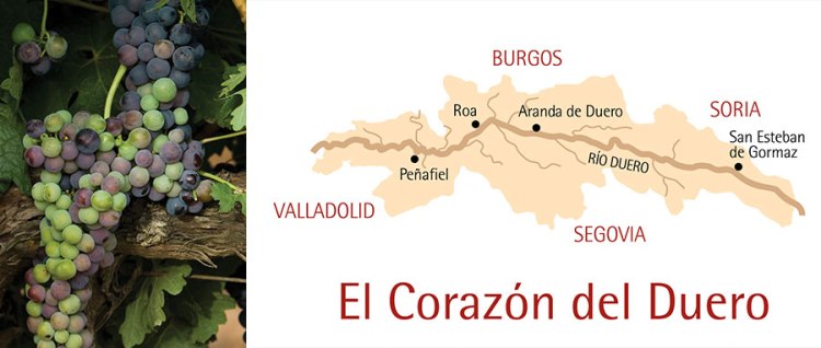 9920089480055_2ce2ea3e8d_o