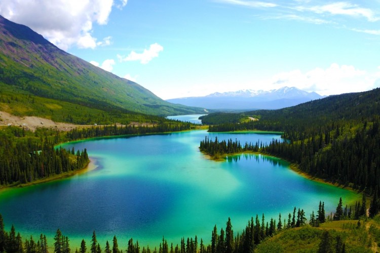 a680d76e-0583-41cc-bedc-37436f188bf1-1200x800