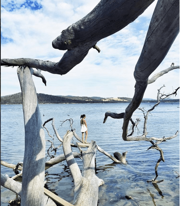 Captura de pantalla 2017-12-05 a las 11.55.27