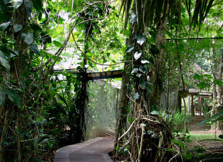 Captura de pantalla 2018-01-26 a las 14.01.36.png