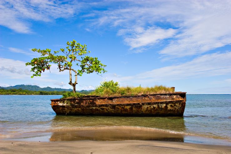 full-old-vessel-with-tree-in-puerto-viejo