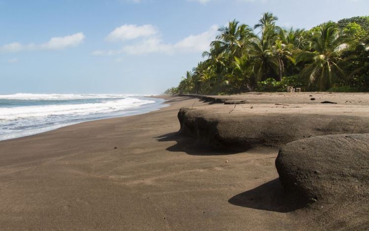 playa_tortuguero_costa_rica