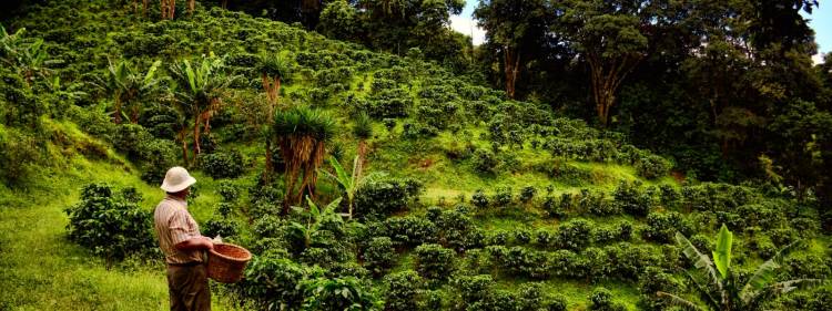 qjzqw9xs7piaysrtxjuz