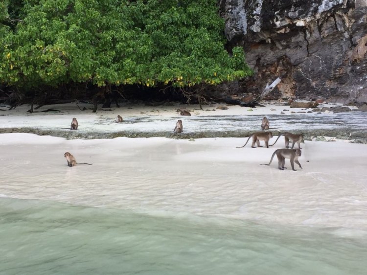 img-20170912-wa0030-largejpg1