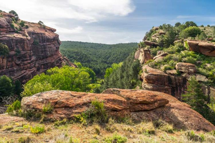 paisaje-protegido-pinares-de-rodeno
