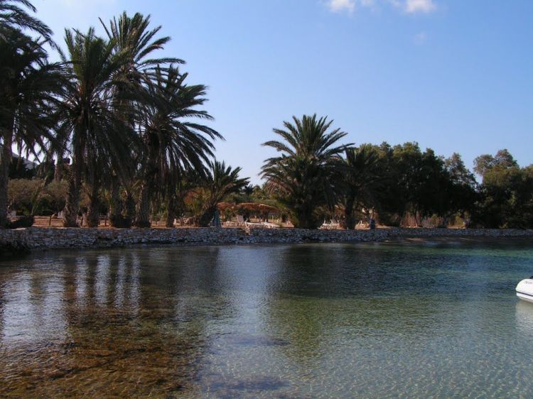 394dce8adb4c4452b65853c58ad19ed9