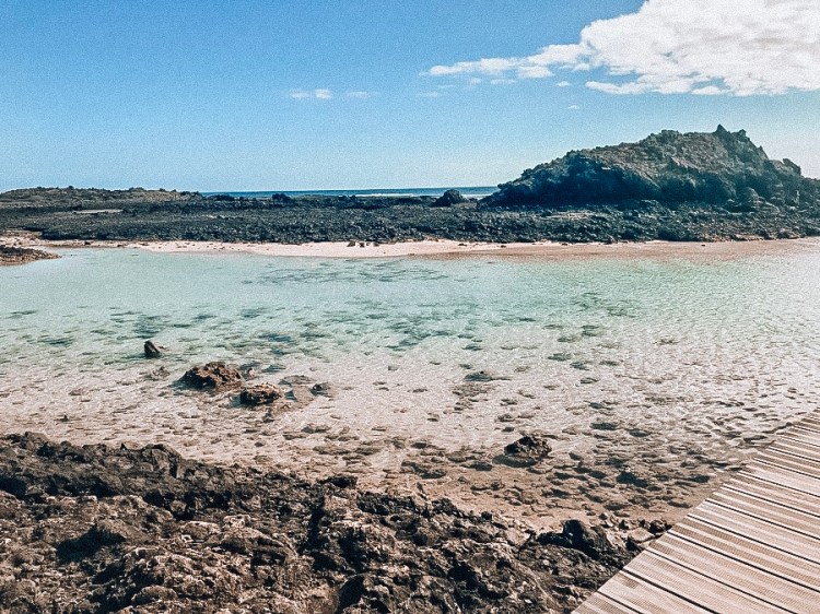 4c98acbe-5829-4f40-a539-bc997b0baa55