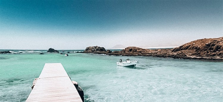 d5008d6a-4180-475a-8f69-fb51caa51241