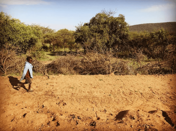 Captura de pantalla 2019-02-05 a las 12.52.18