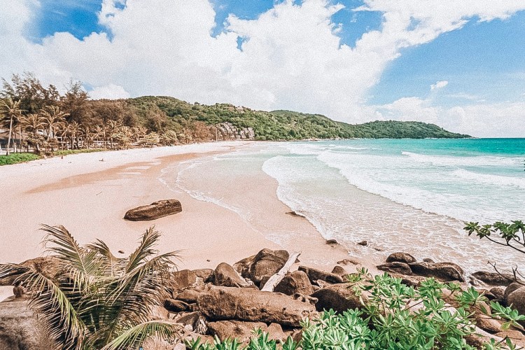 ED1A9413-EC26-4B94-A566-D66944D50B1D