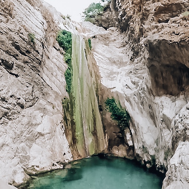 91BA0BD5-43CE-4628-8A16-DC0633111A44