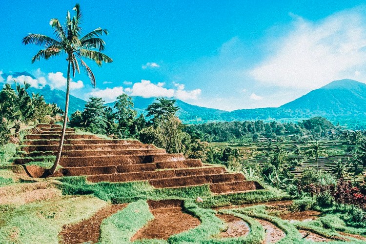 BF86B117-DADC-4EC8-9F64-700184A5039B