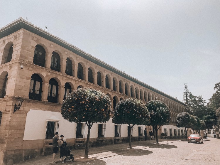 CC998D58-7937-4F31-B3D8-293DD2D4B6DF