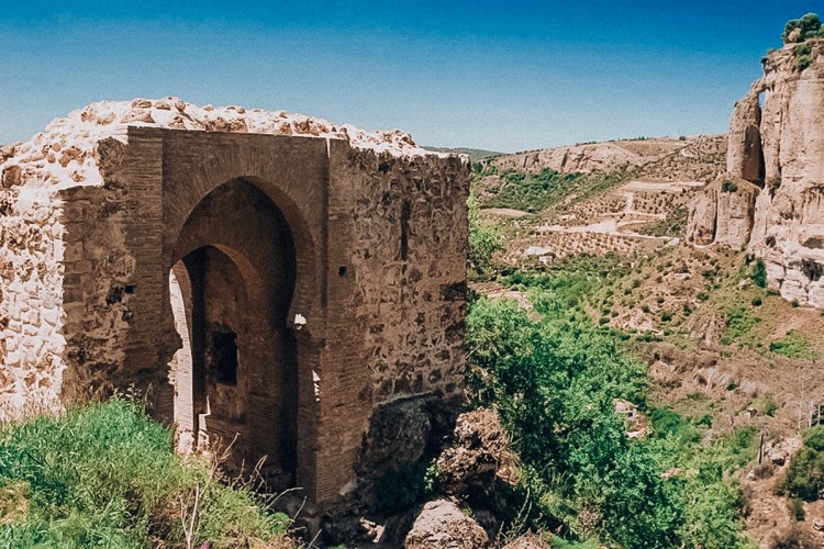 F2F109C2-FA53-4A27-9F8D-7E87848F2DAF