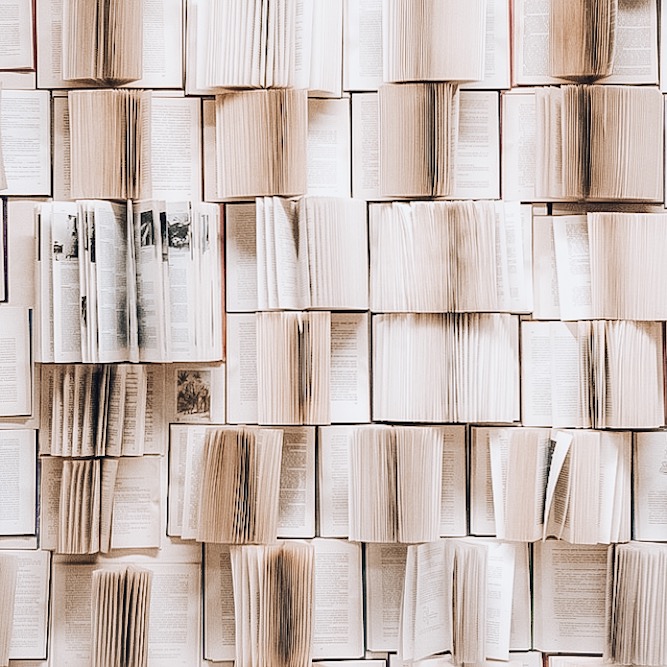 3A2B8F55-AD29-4677-8CD0-A604AD6810FE