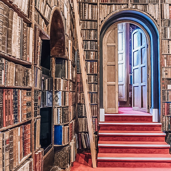 FB9C4042-571C-4D25-9E5E-B7322EDCF660