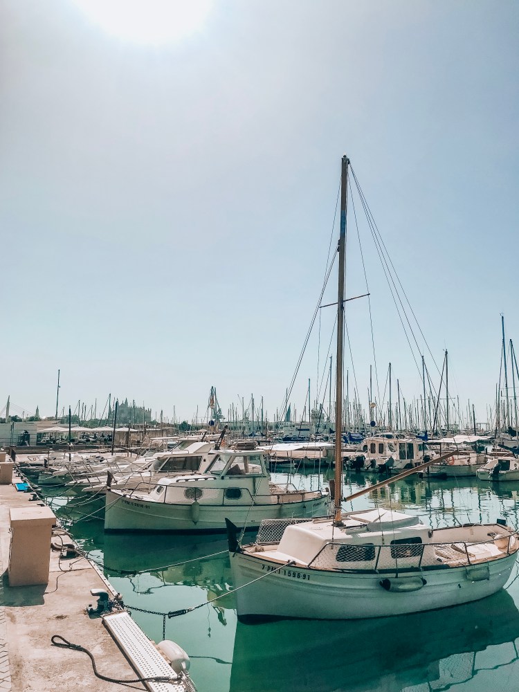 0AD4995C-95AC-4F65-93C4-062AD1BB1034