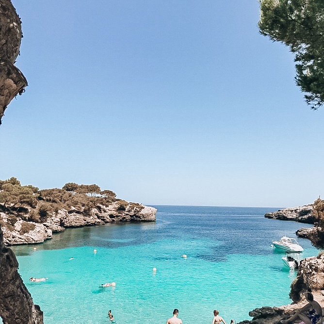 12B4B153-2E7F-492D-A7DB-C88DF23173C3