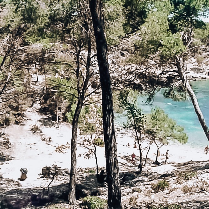 54486F5E-FA50-449F-B516-9E0A2DDA9BF7