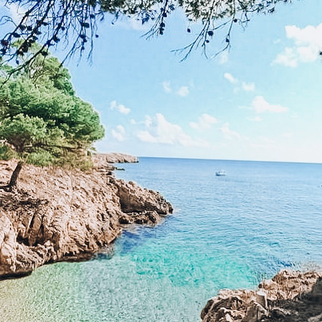 7F33D46F-4882-4A6C-B8AB-E5022A076526