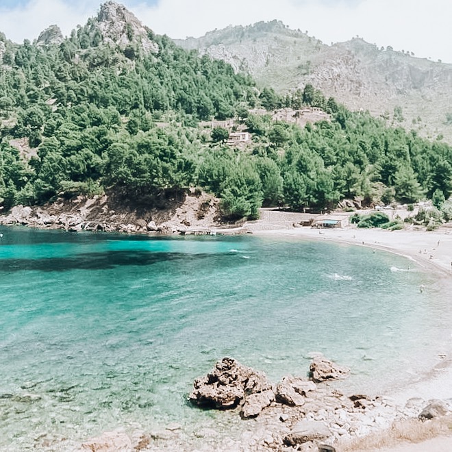 9B333C3F-886B-499B-A256-588FCDC14F6E