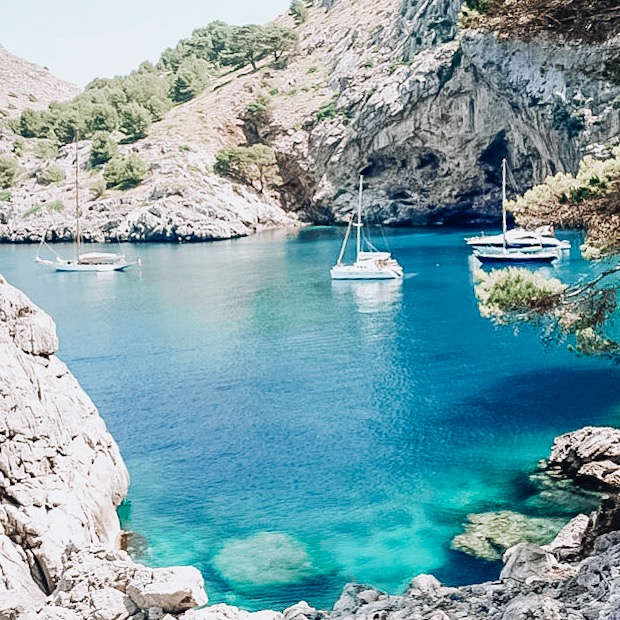 9EB01A73-BCB7-4DE9-9982-ECF037948549