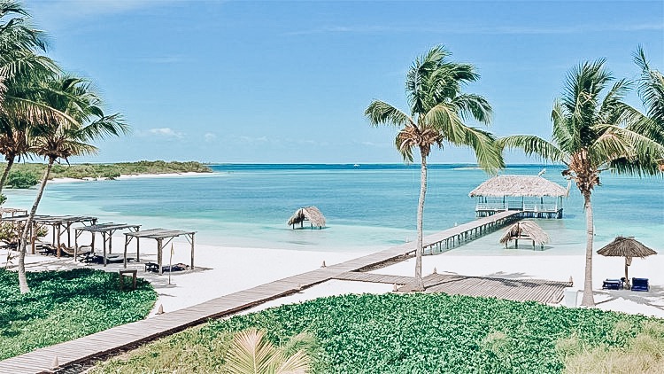 6EE7A5B9-C947-4390-9AE4-543C678D29AA