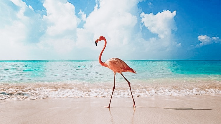 8477857A-F8CA-488C-8FDA-AA3BD980D1D8