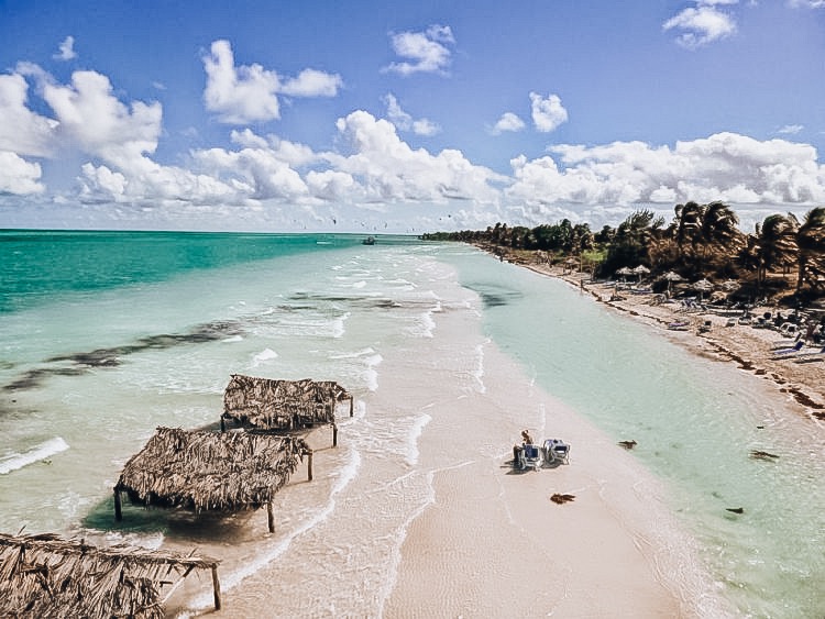 B05269C0-6AA4-4D71-8219-C1E8A6B6D6F5