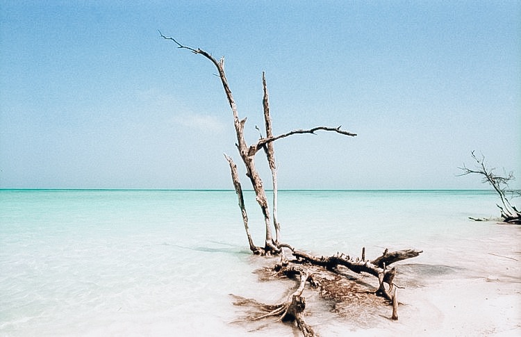 D6C75897-C92F-4F8F-A008-52DF017024DF