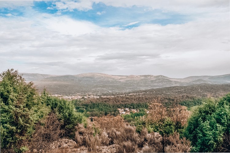 0C0F8EBA-8575-4FCC-8AF0-AF2801091DE5