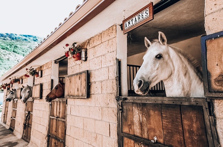 A86CCA79-2D9A-46C6-A0B2-CCD70B4AD6C6