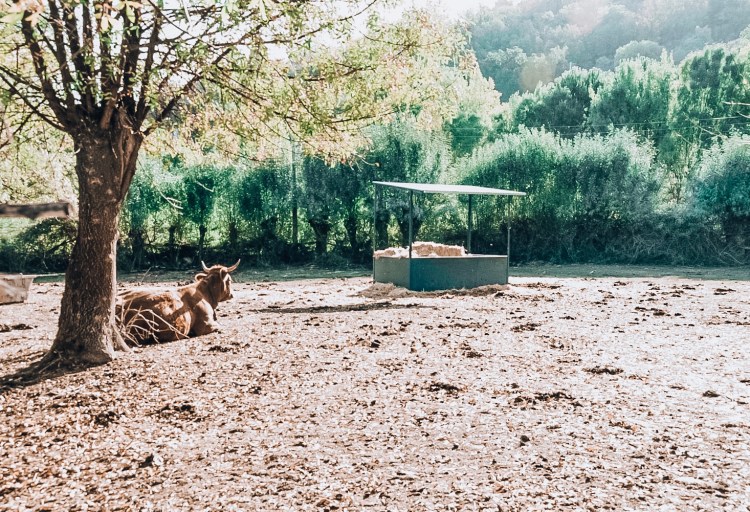 A8996854-1F16-4EC7-8852-FA291DFD0237