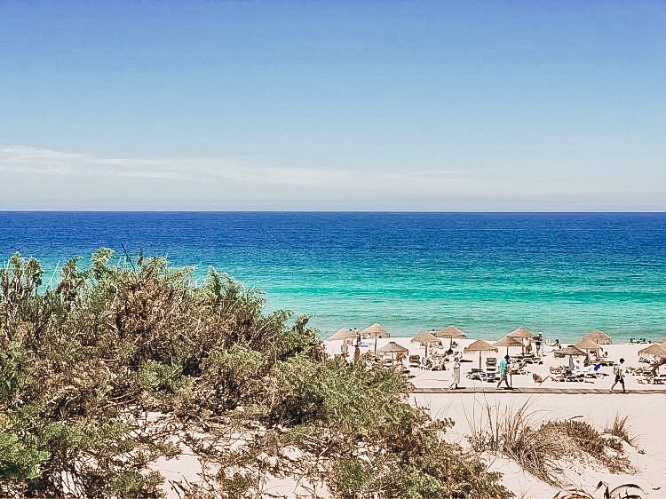 551BB561-9C4F-43E8-BE7F-158EA66E0F58